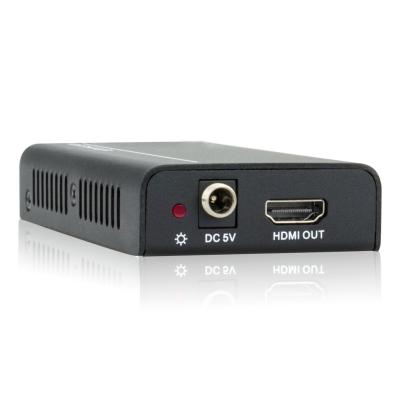 DIGIS IP-100T